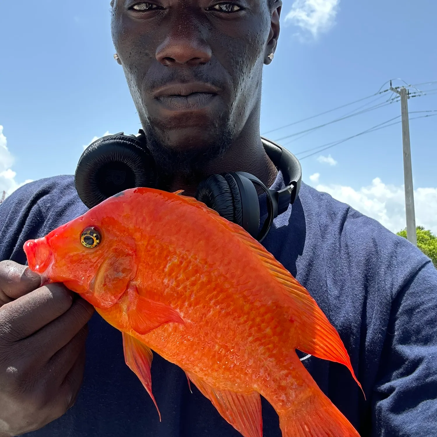 most liked catch image