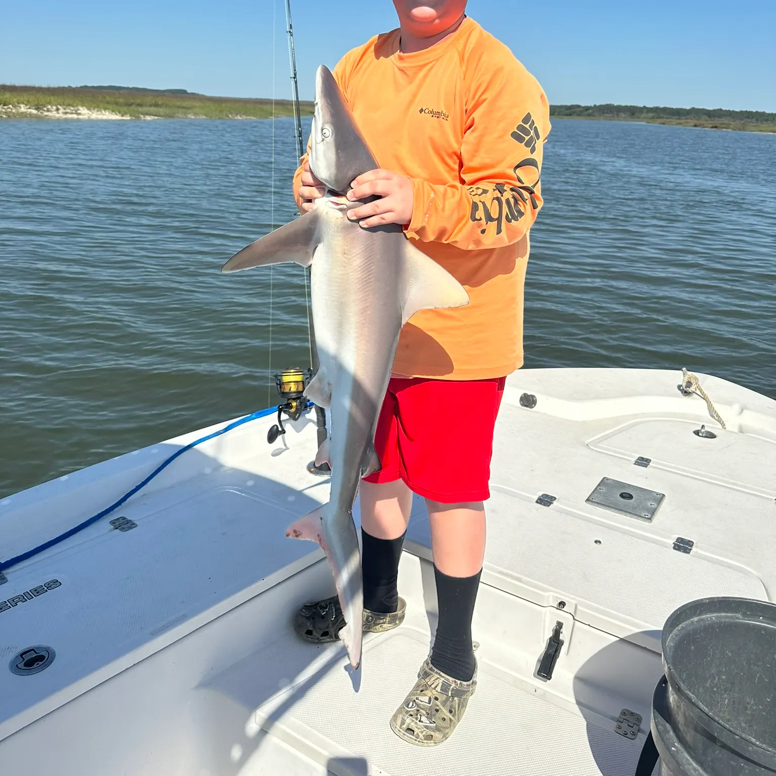 The most recent Sandbar shark catches on Fishbrain
