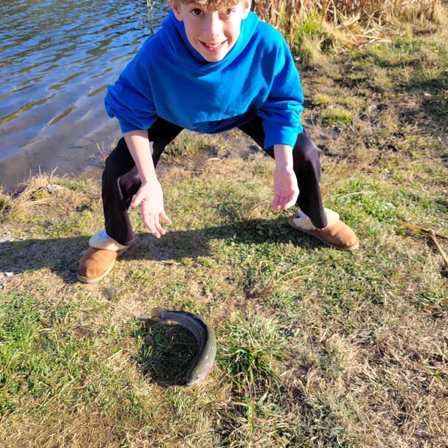 The most recent Rainbow trout catches on Fishbrain