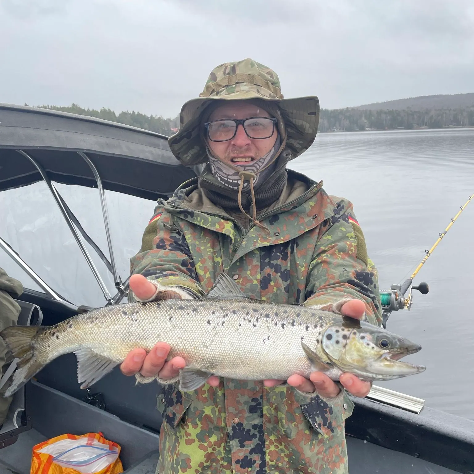 The most recent Landlocked atlantic salmon catches on Fishbrain