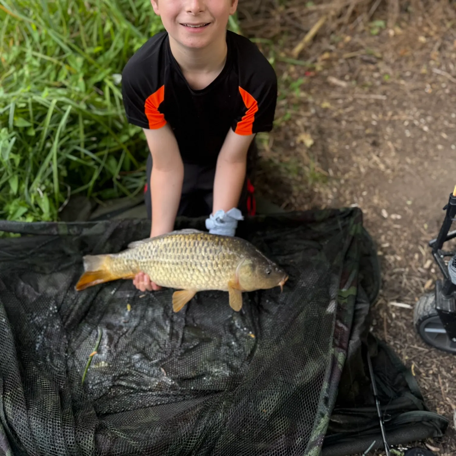 Common carp caught on Fishbrain