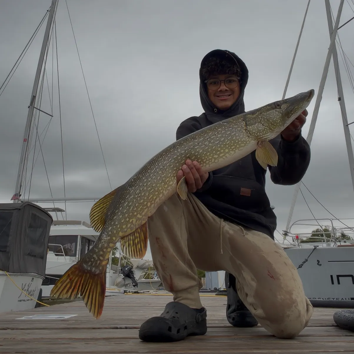 Northern pike caught on Fishbrain