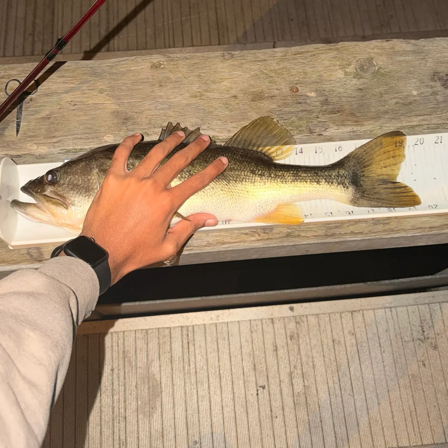 catch