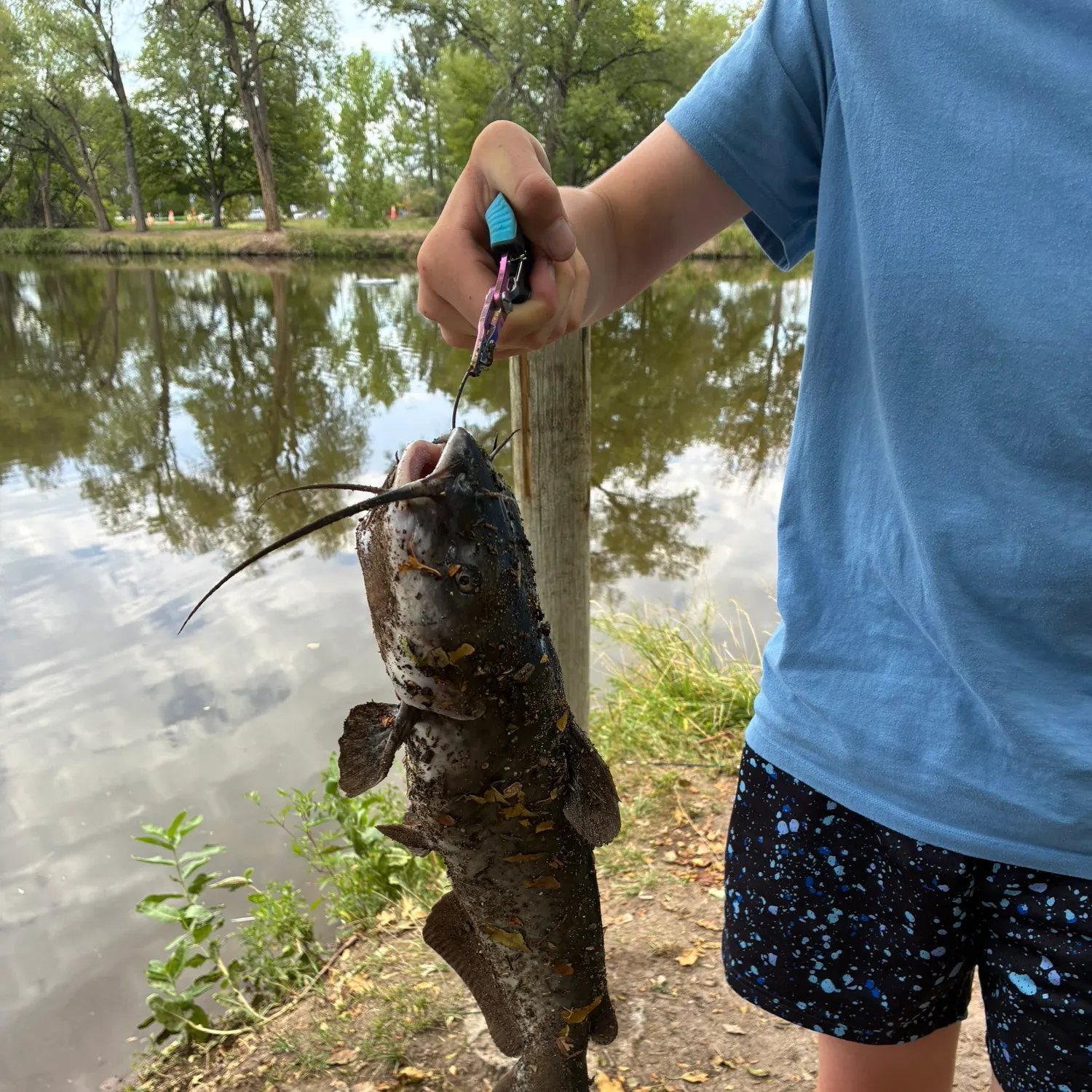 Channel catfish caught on Fishbrain