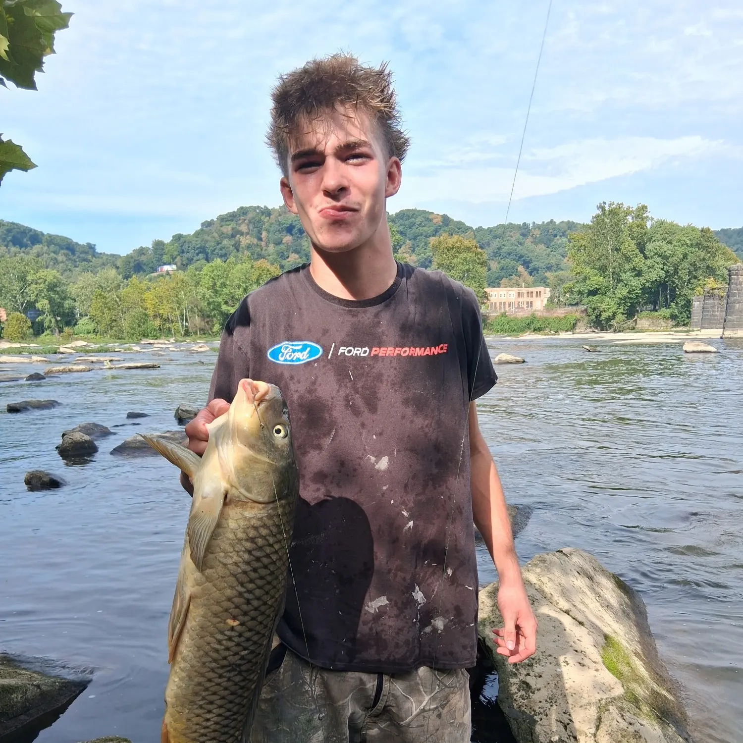 Common carp caught on Fishbrain