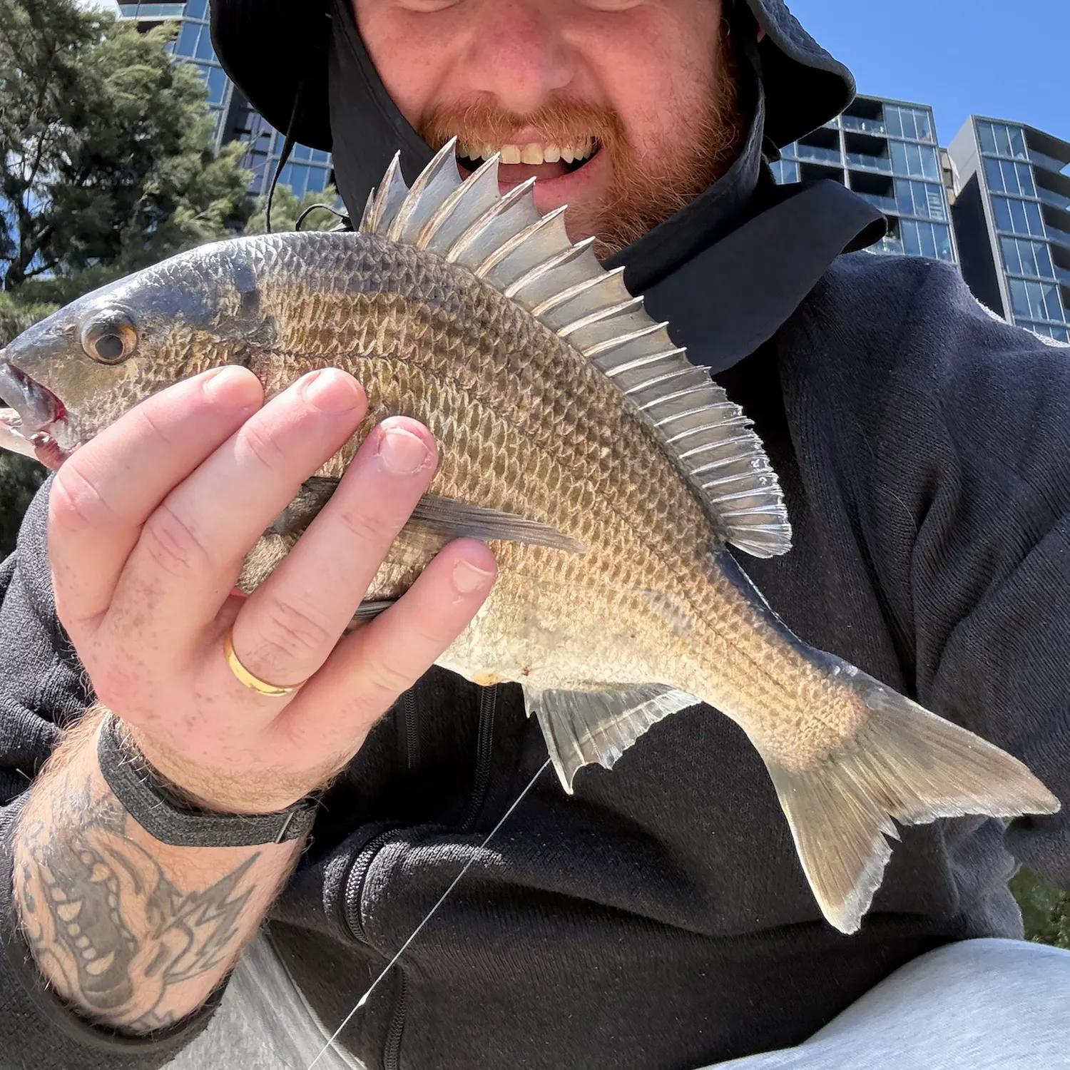 Southern black bream caught on Fishbrain