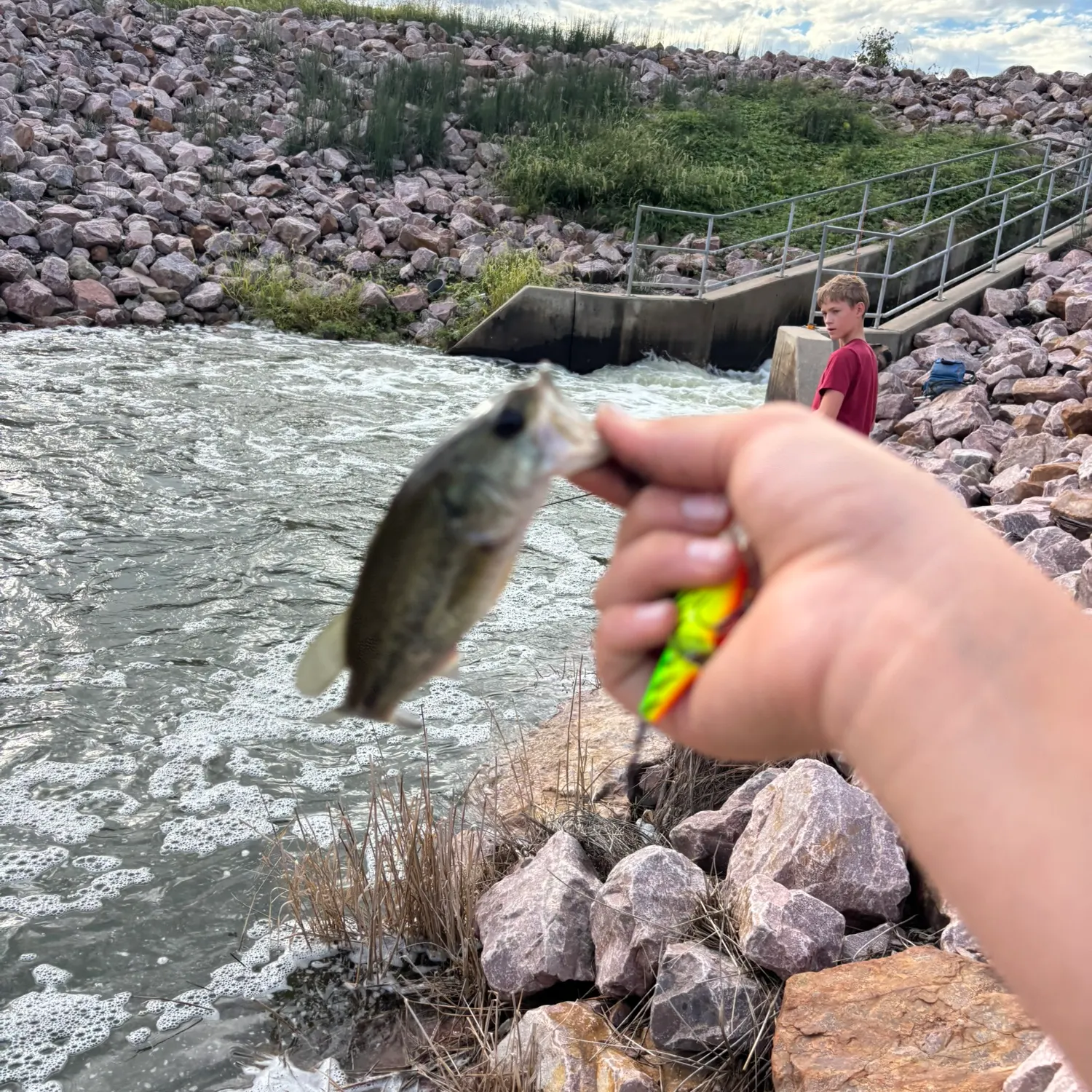 Guadalupe bass caught on Fishbrain