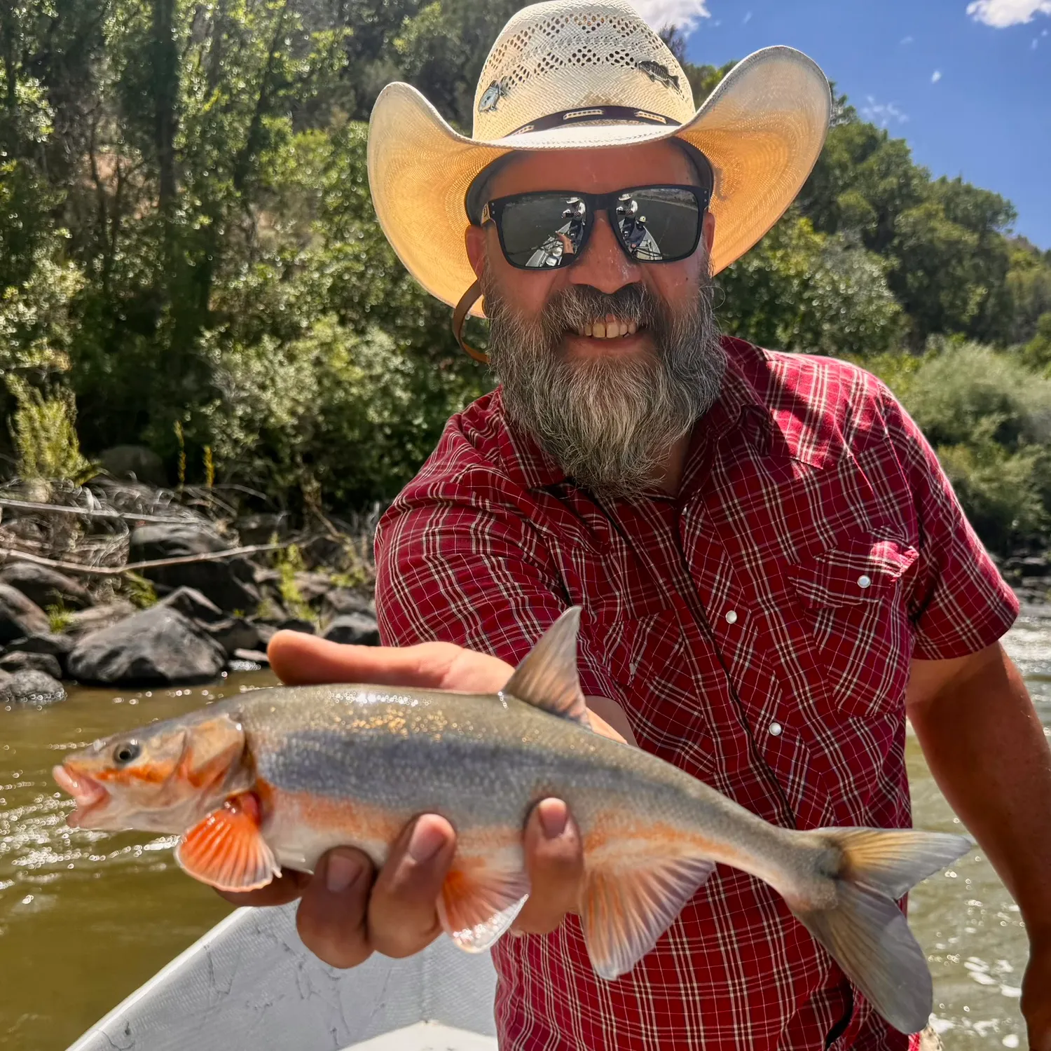The most recent Colorado pikeminnow catches on Fishbrain