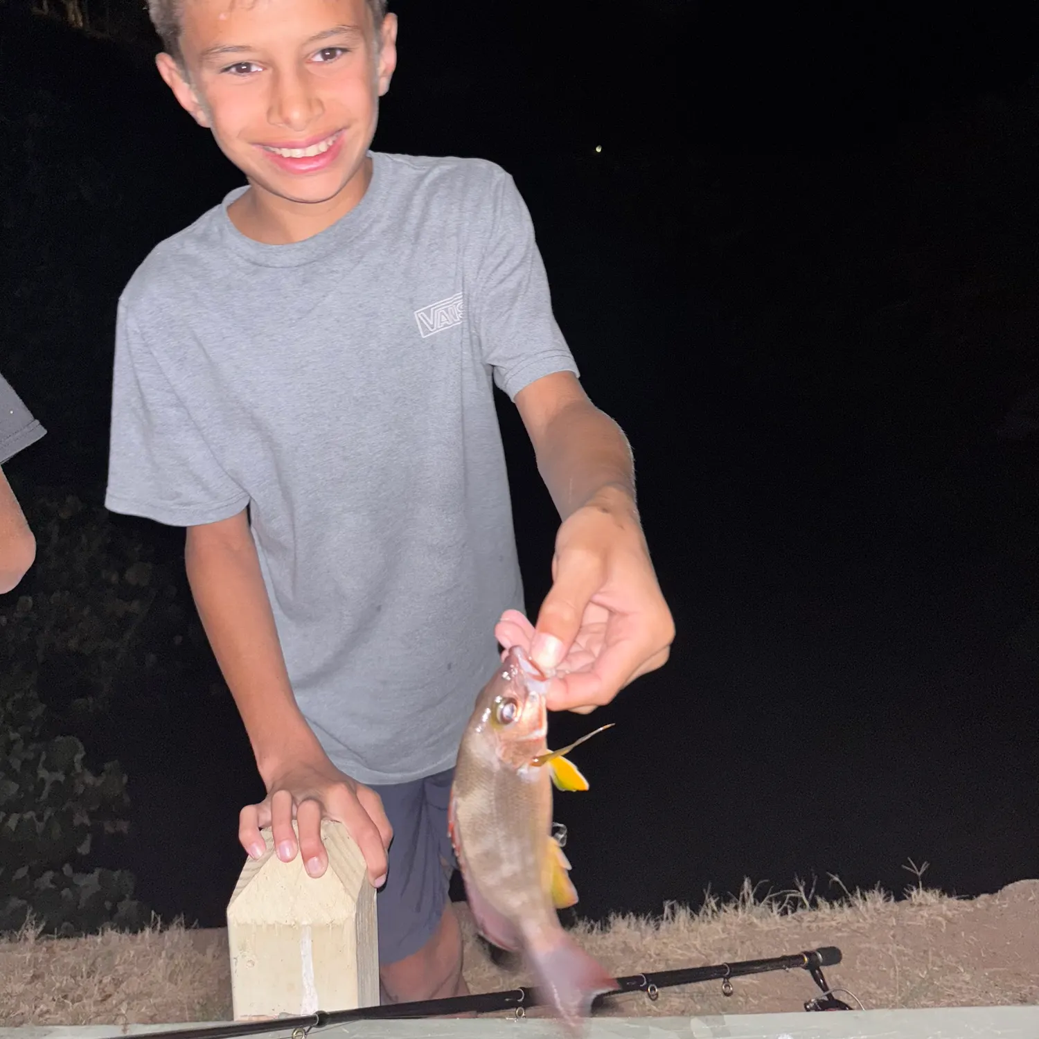 The most recent Blackfin snapper catches on Fishbrain