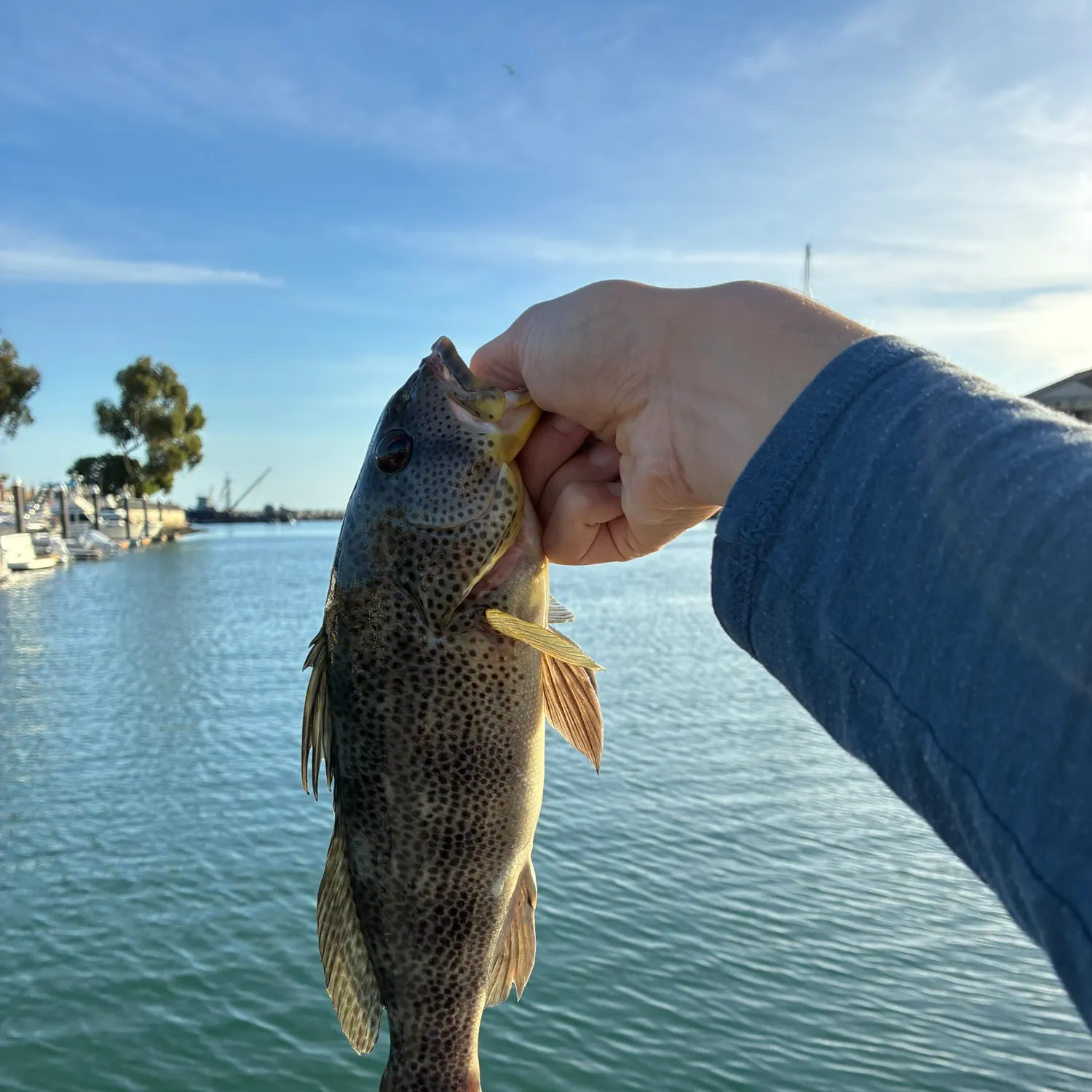 catch