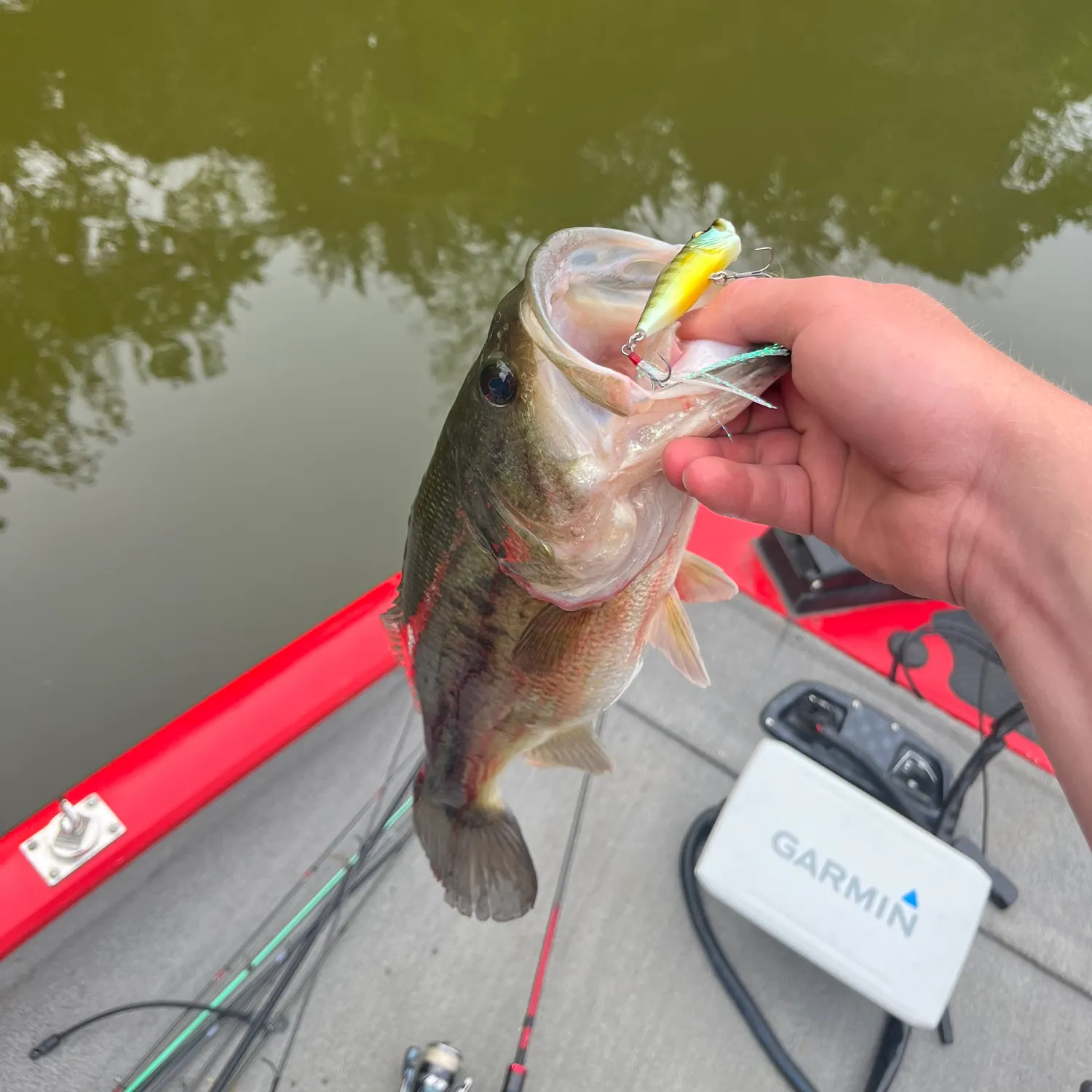 angler catch