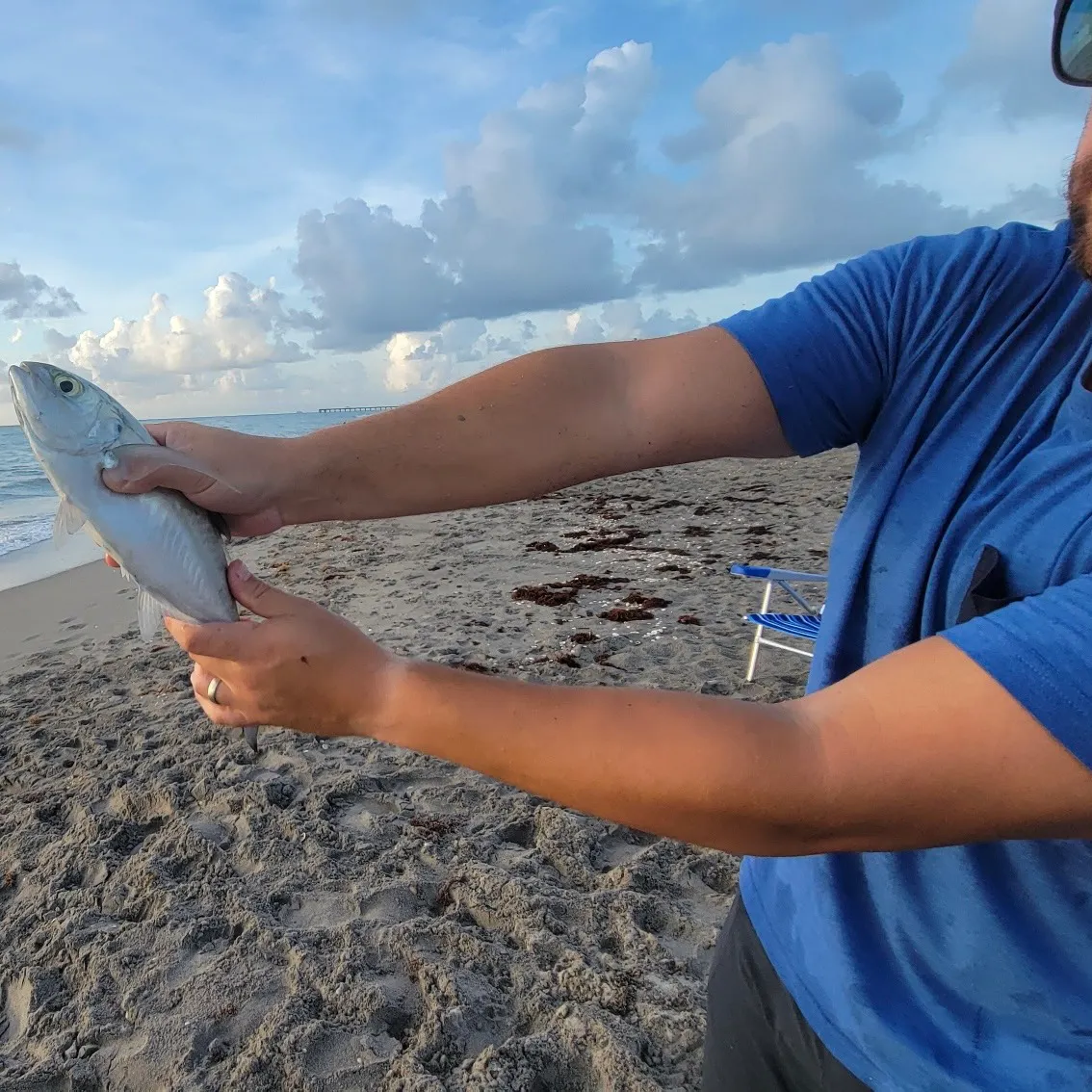 angler catch