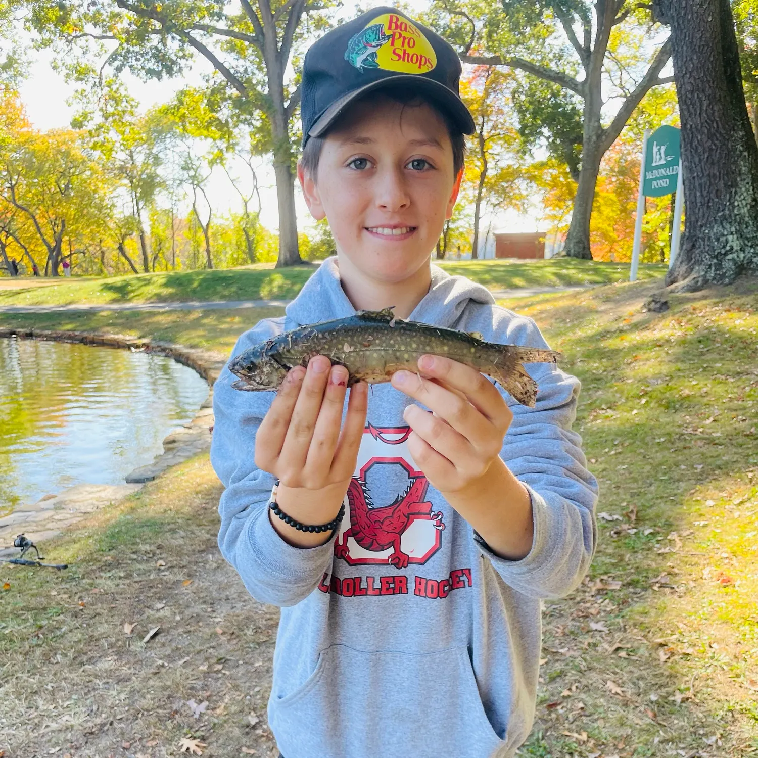 Brook trout caught on Fishbrain