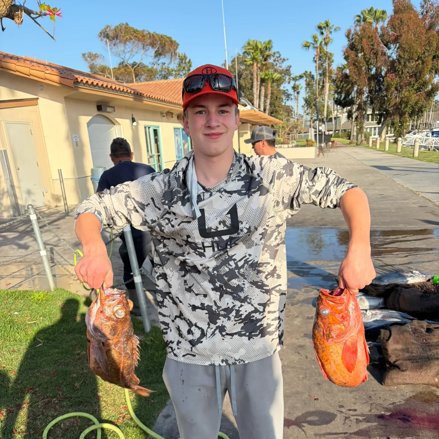 The most recent Mexican rockfish catches on Fishbrain