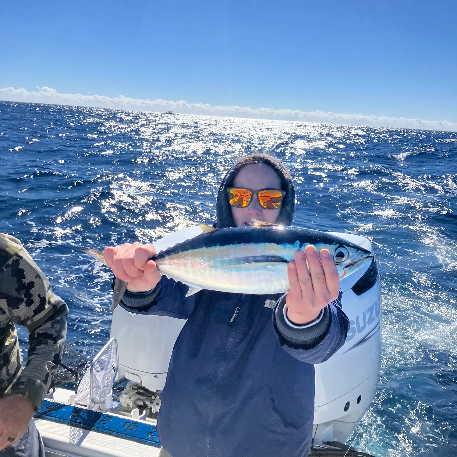 The most recent Blackfin tuna catches on Fishbrain