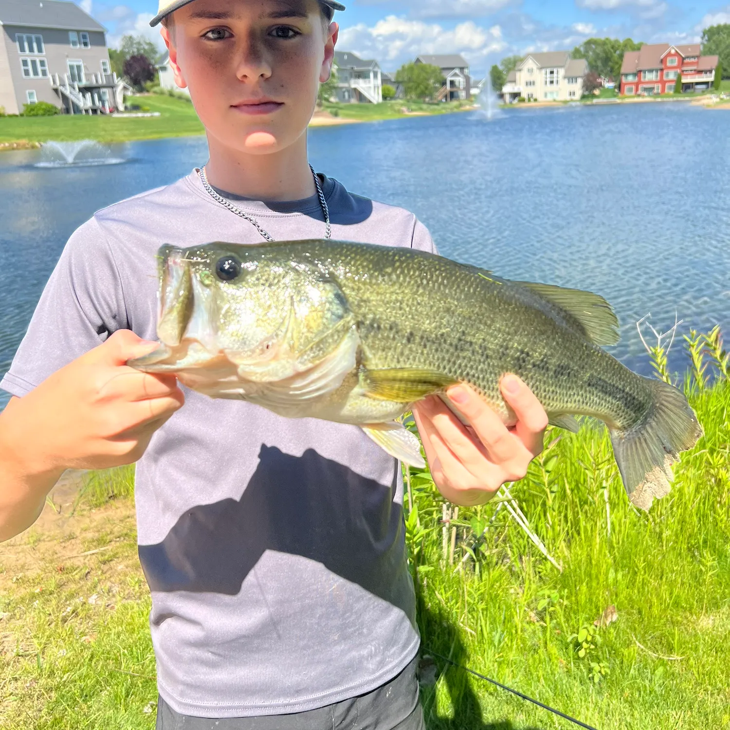Largemouth bass caught on Fishbrain