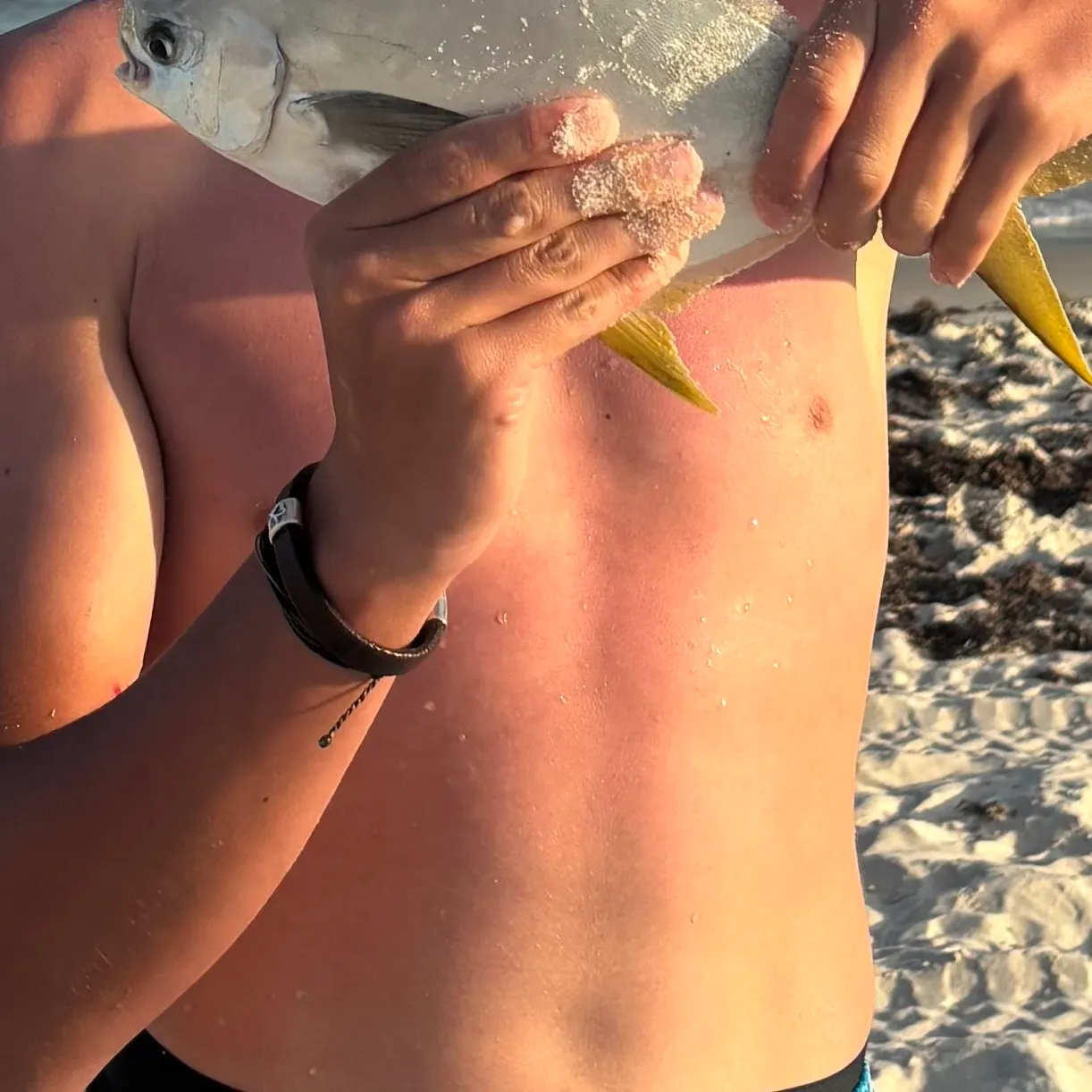 The most recent Florida pompano catches on Fishbrain