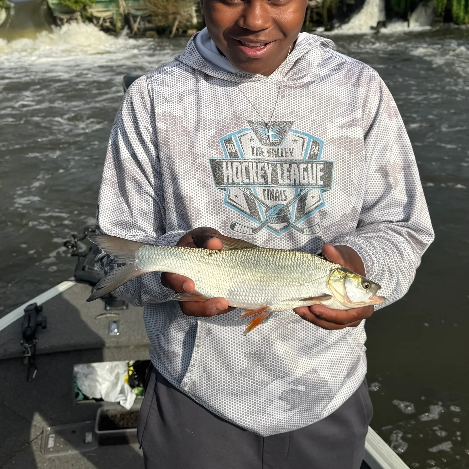 Asp caught on Fishbrain