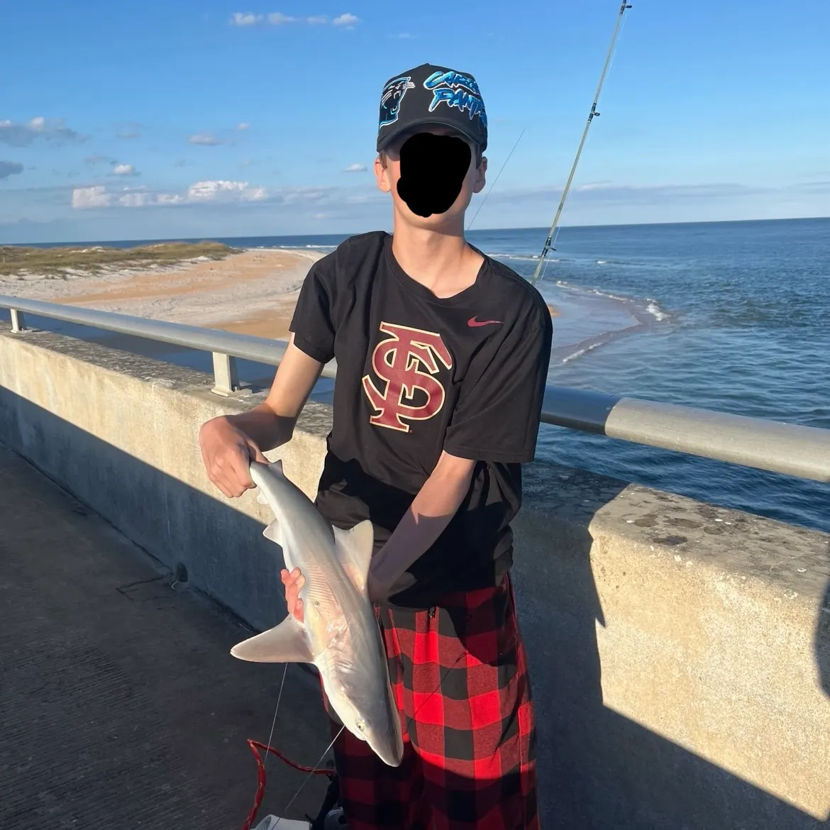 The most recent Sandbar shark catches on Fishbrain
