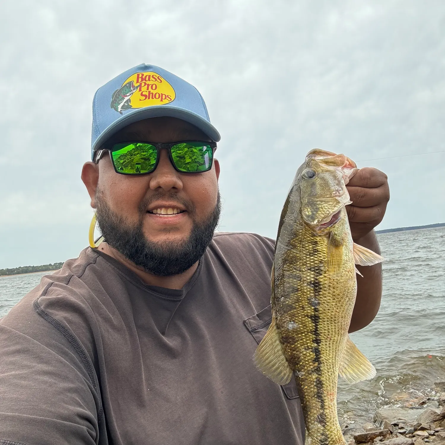 Spotted bass caught on Fishbrain