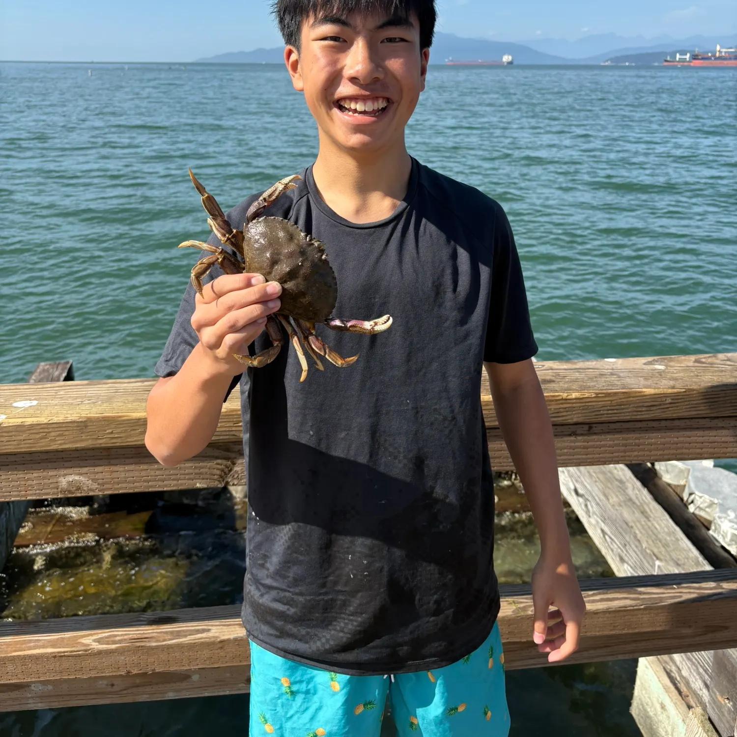 Red rock crab caught on Fishbrain
