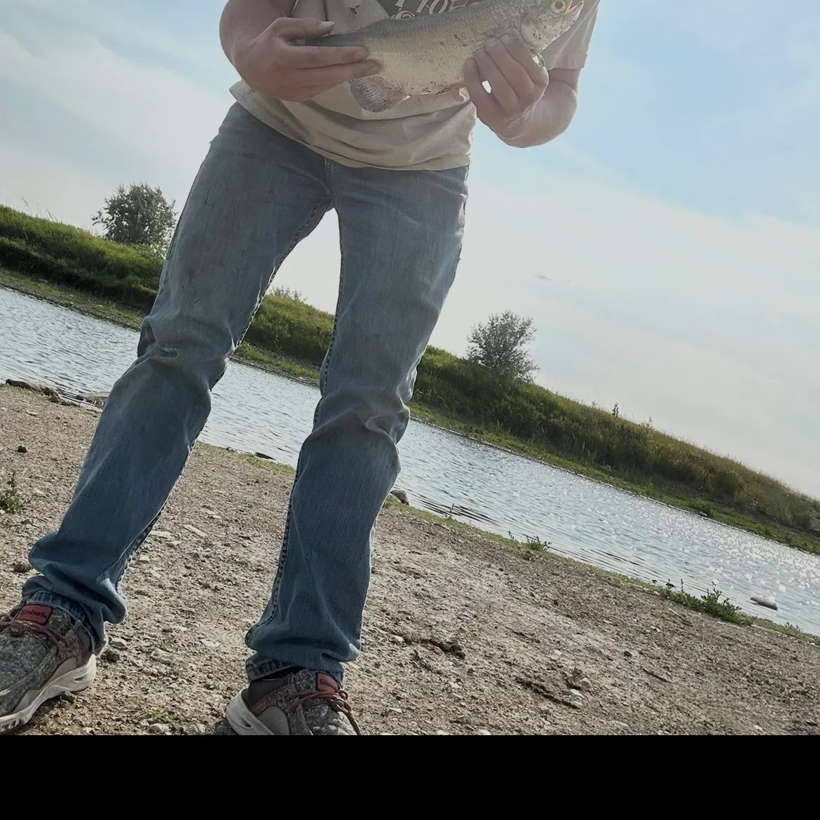 The most recent Goldeye catches on Fishbrain