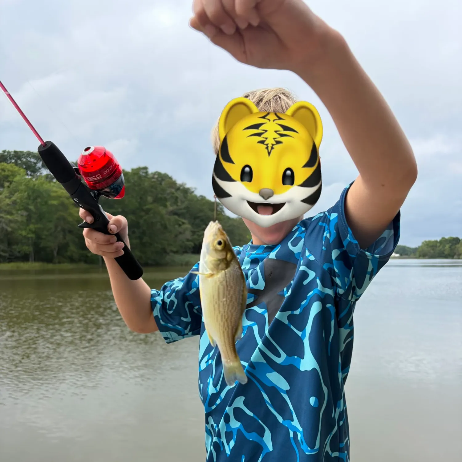 White perch caught on Fishbrain