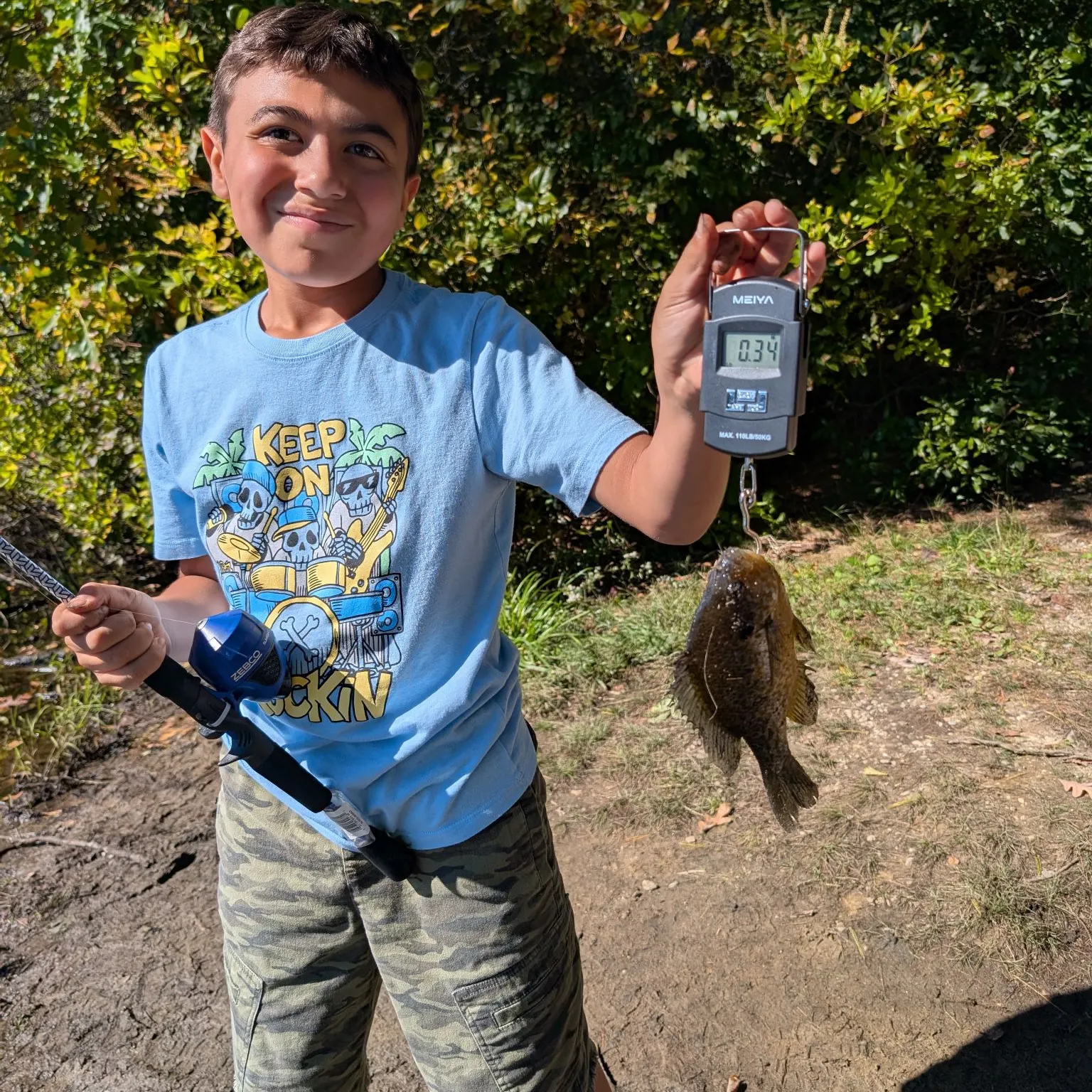 Bluegill caught on Fishbrain
