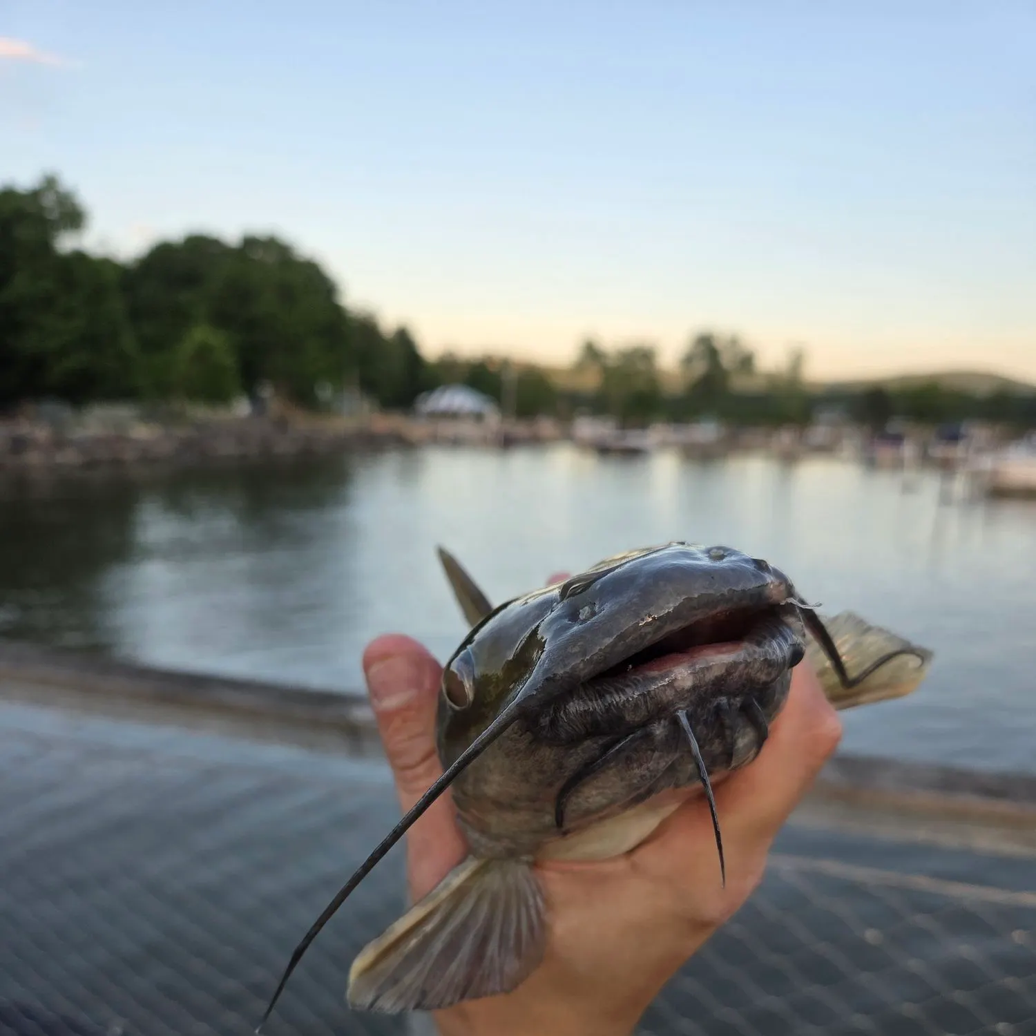 catch