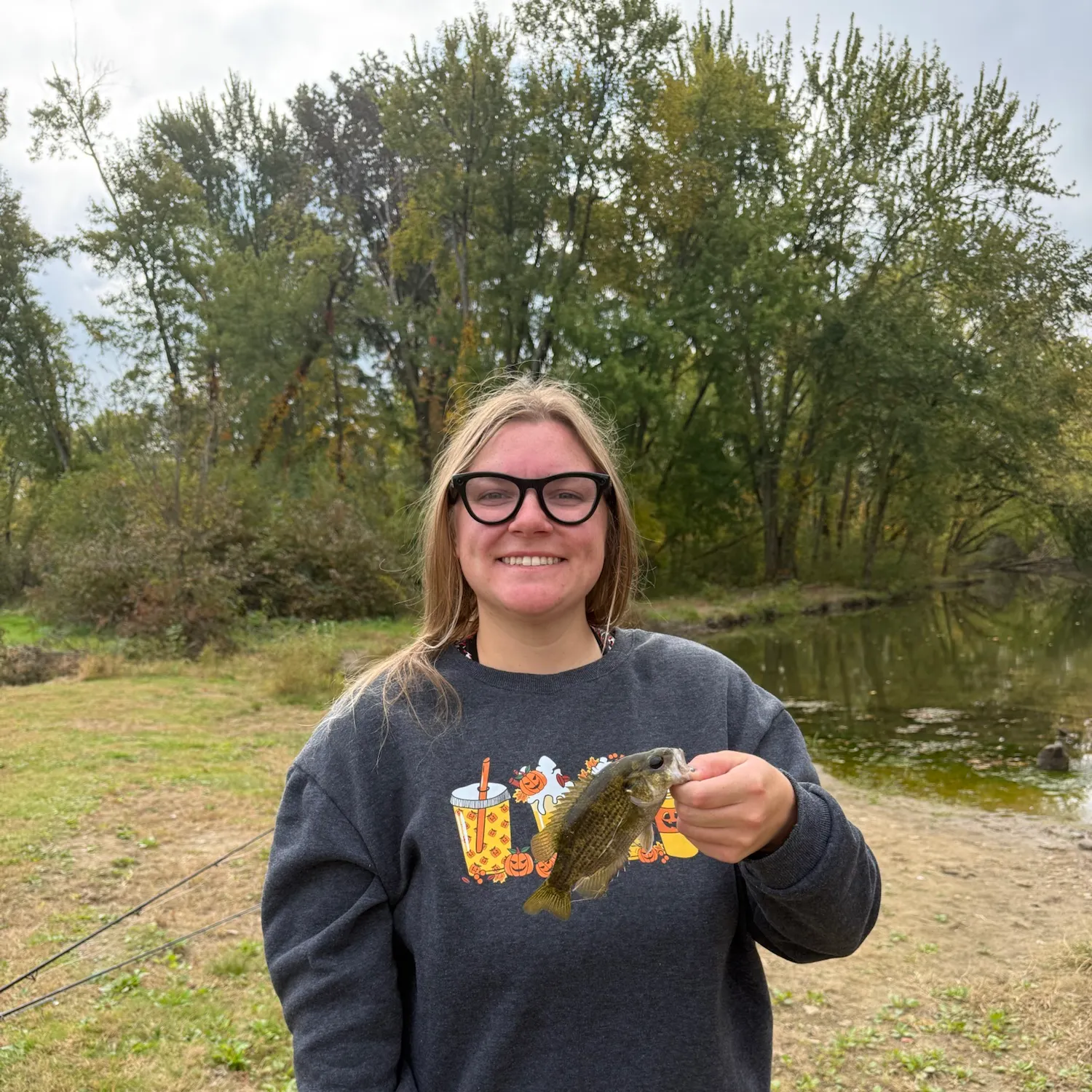 Rock bass caught on Fishbrain