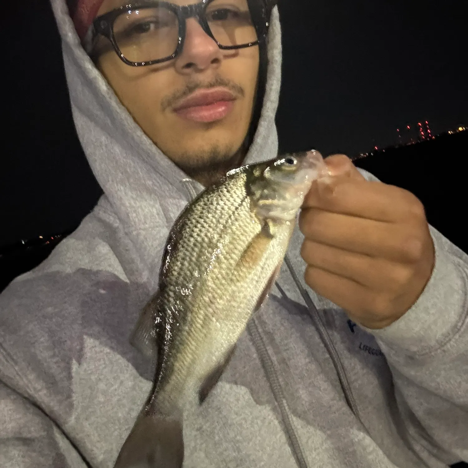 White perch caught on Fishbrain