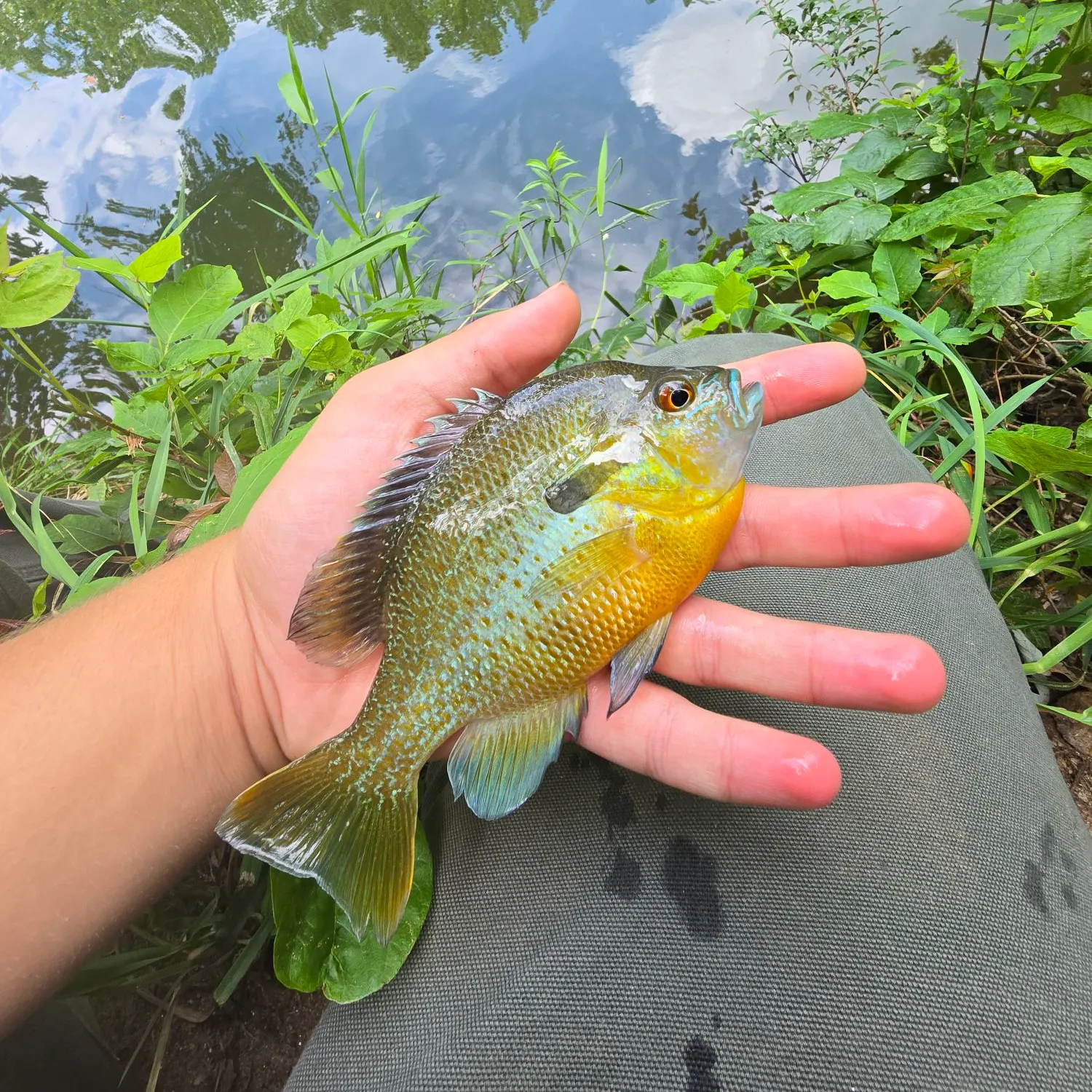 catch