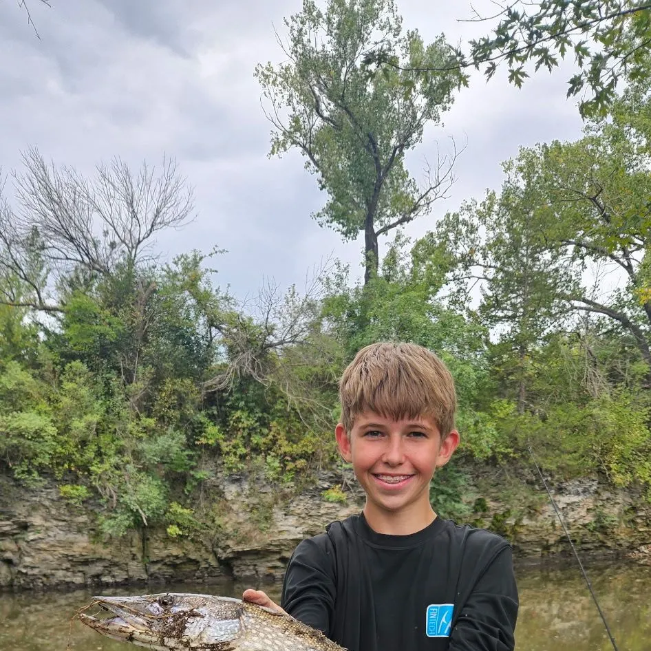 Northern pike caught on Fishbrain