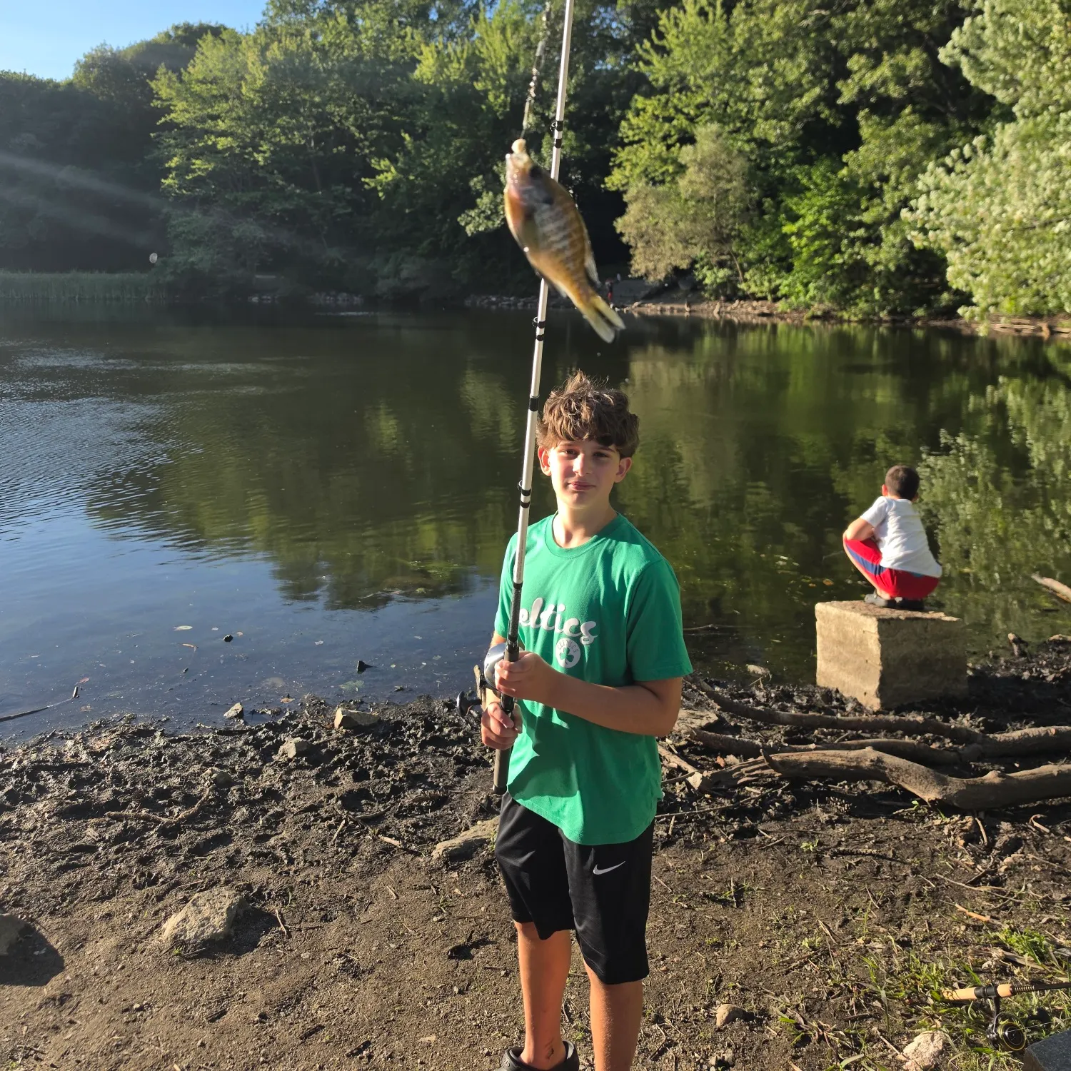 Bluegill caught on Fishbrain