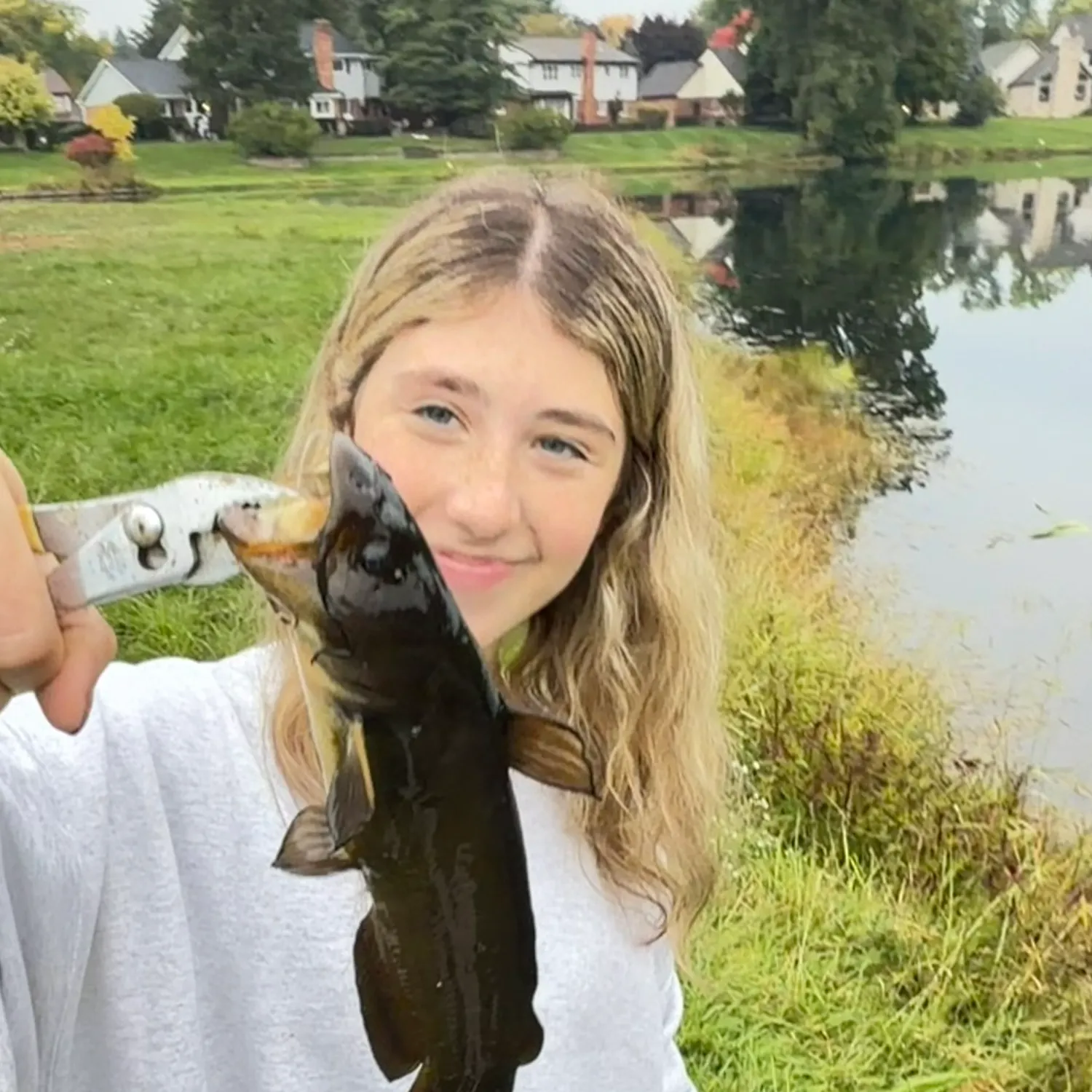 Yellow bullhead caught on Fishbrain