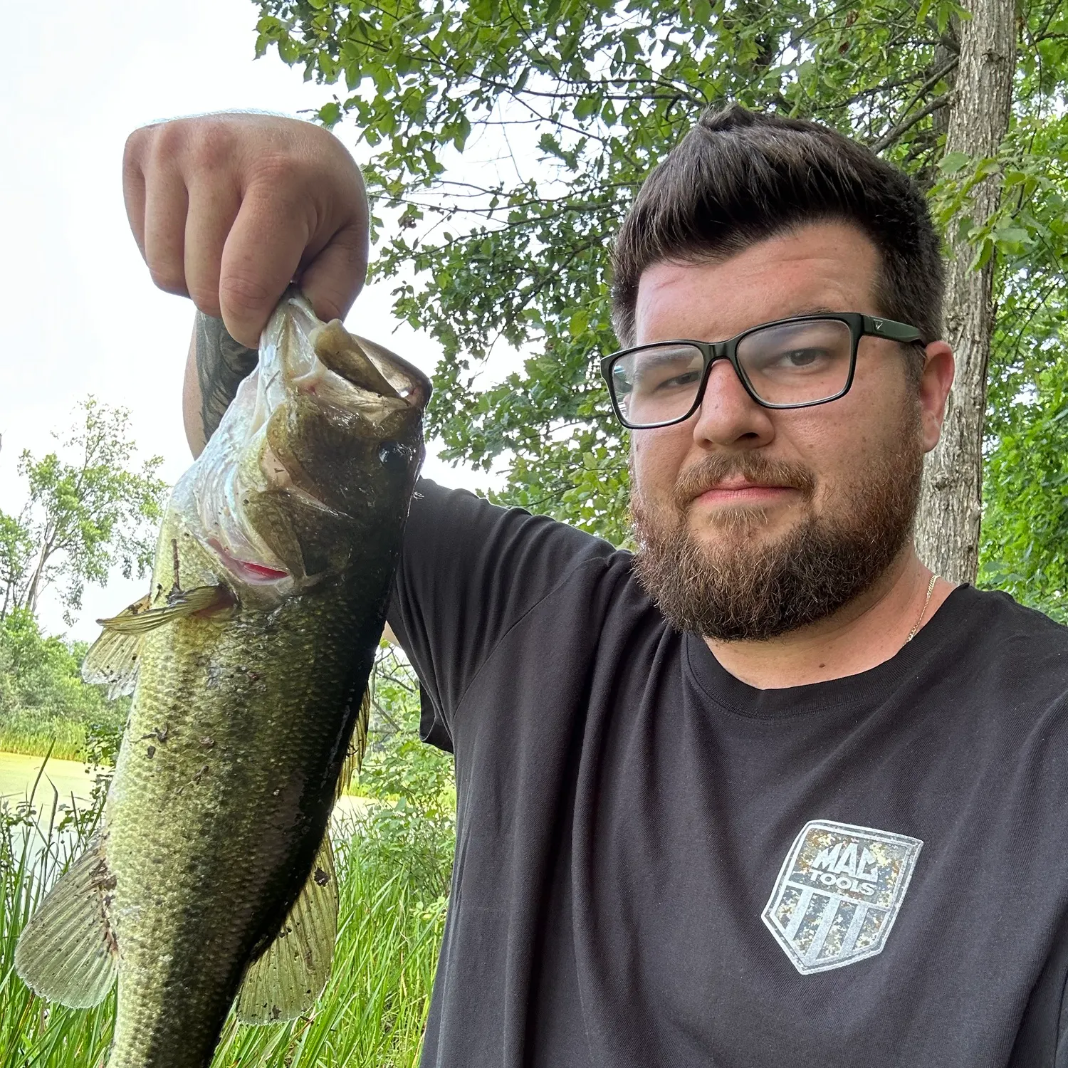 Fish caught on Fishbrain