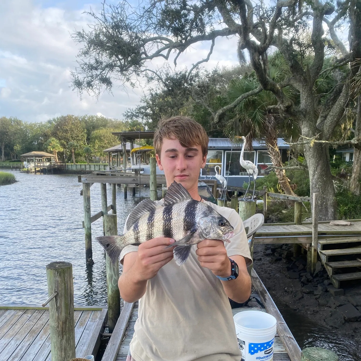 Black drum caught on Fishbrain