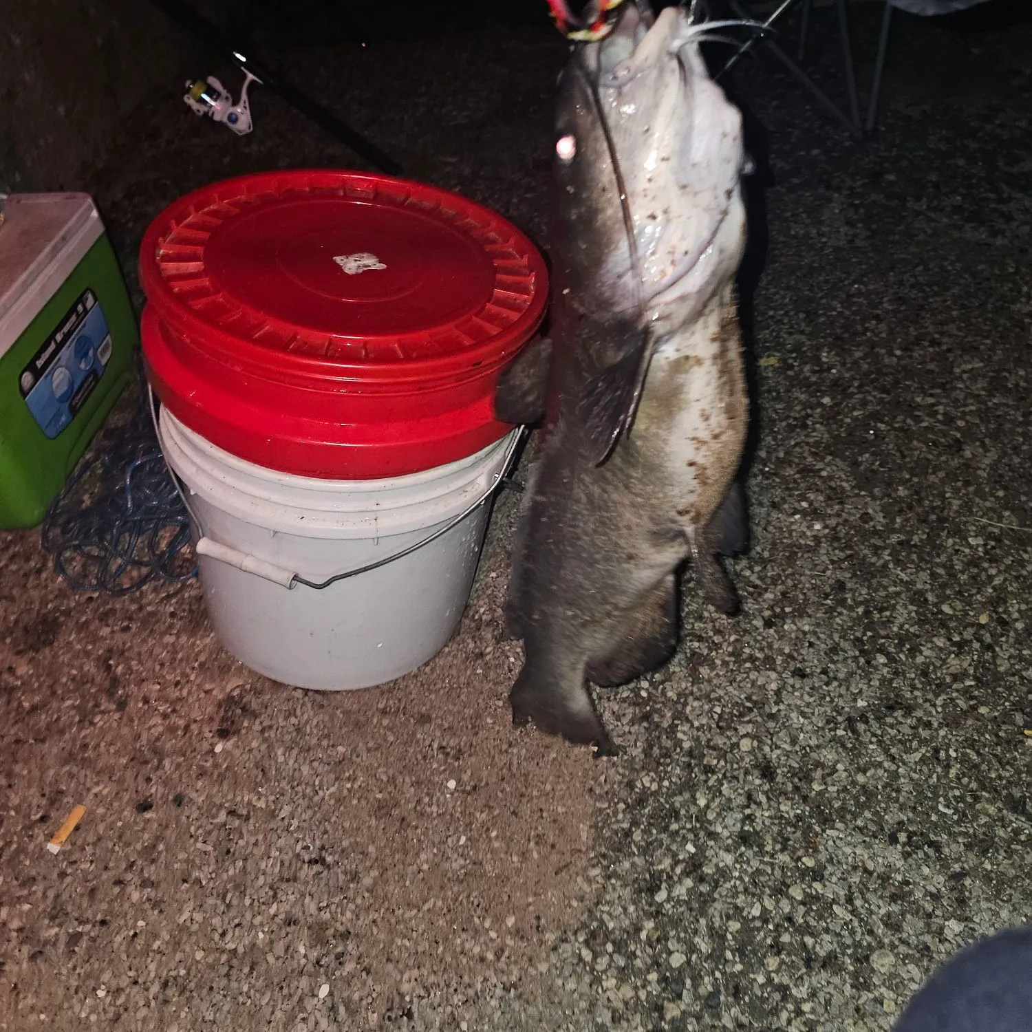 catch