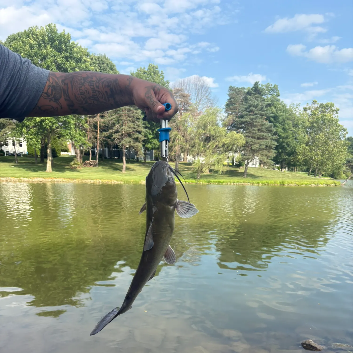 catch