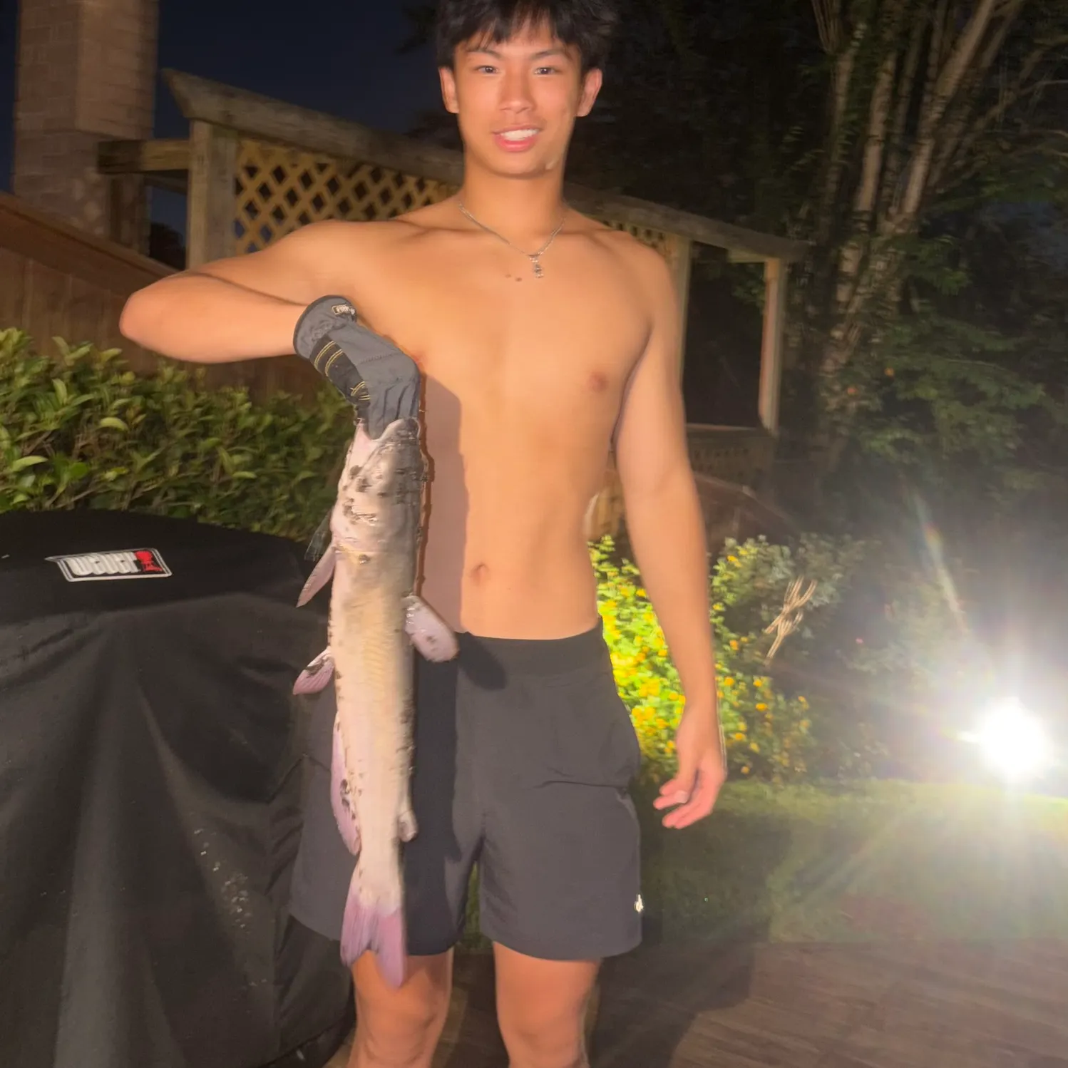 Flathead catfish caught on Fishbrain