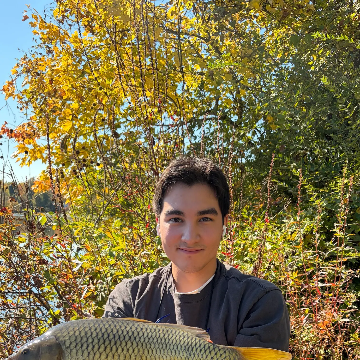 Common carp caught on Fishbrain