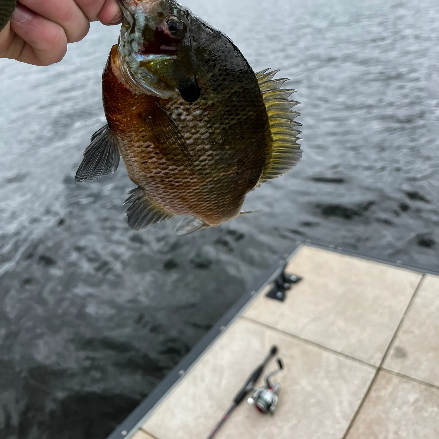 catch