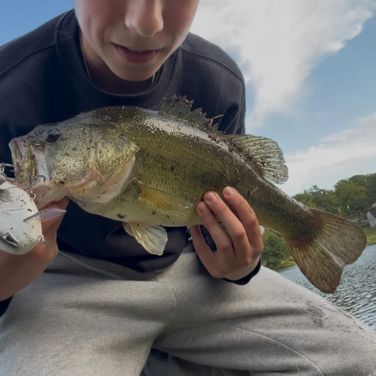 Largemouth bass caught on Fishbrain