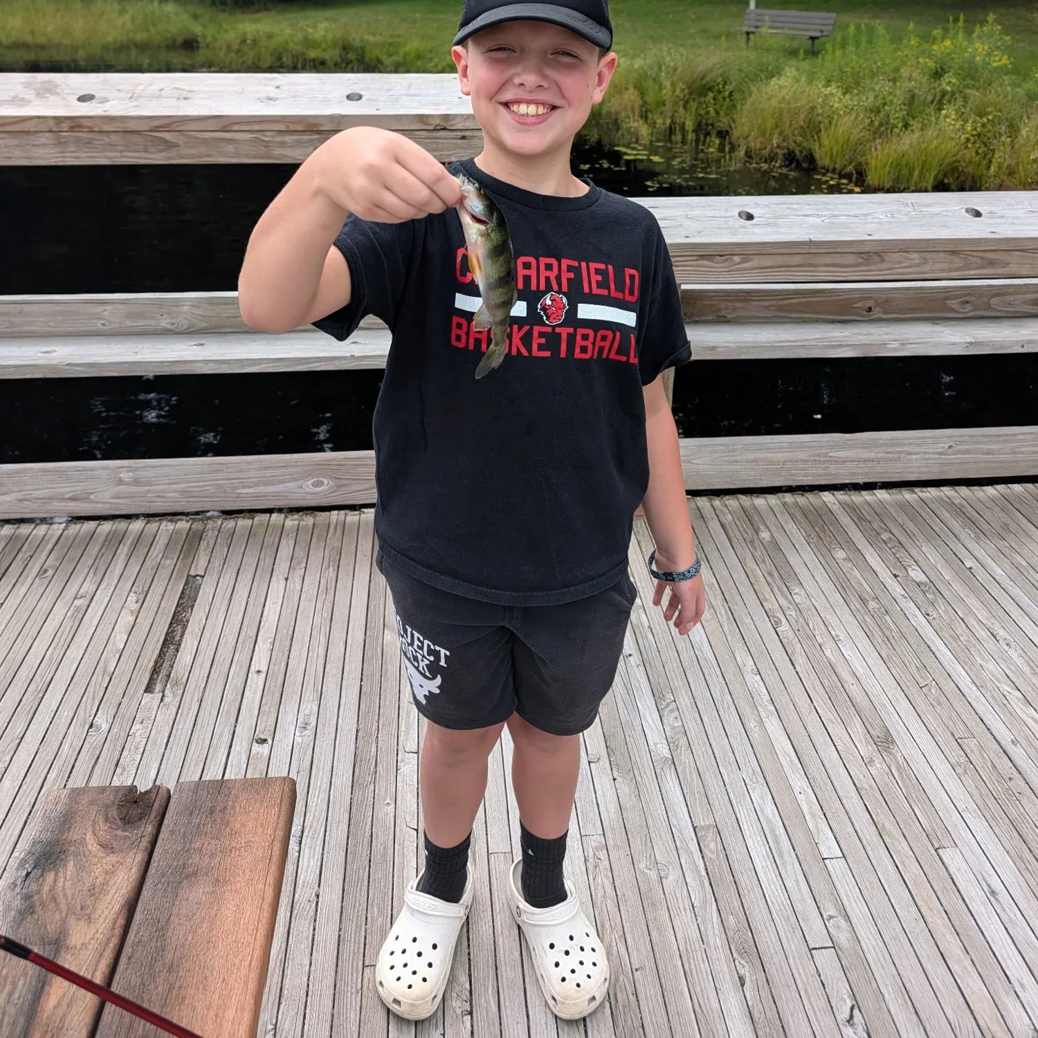 Yellow perch caught on Fishbrain