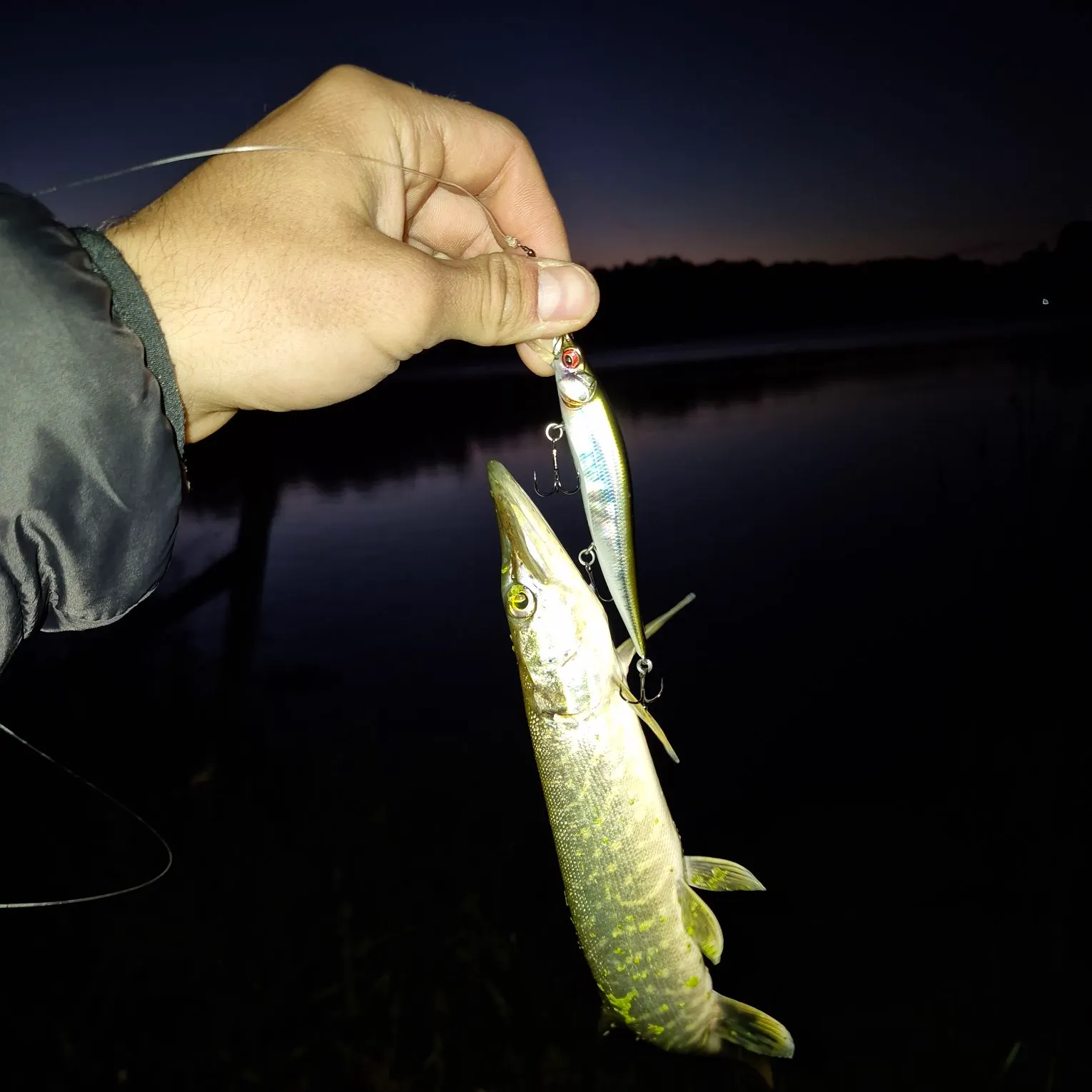 Northern pike caught on Fishbrain