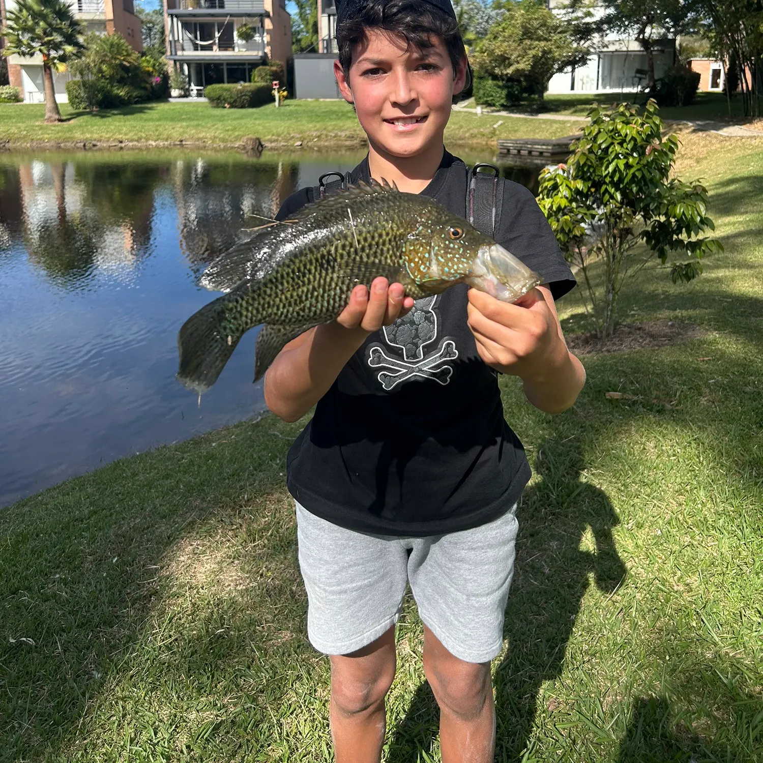 The most recent Turquoise cichlid catches on Fishbrain