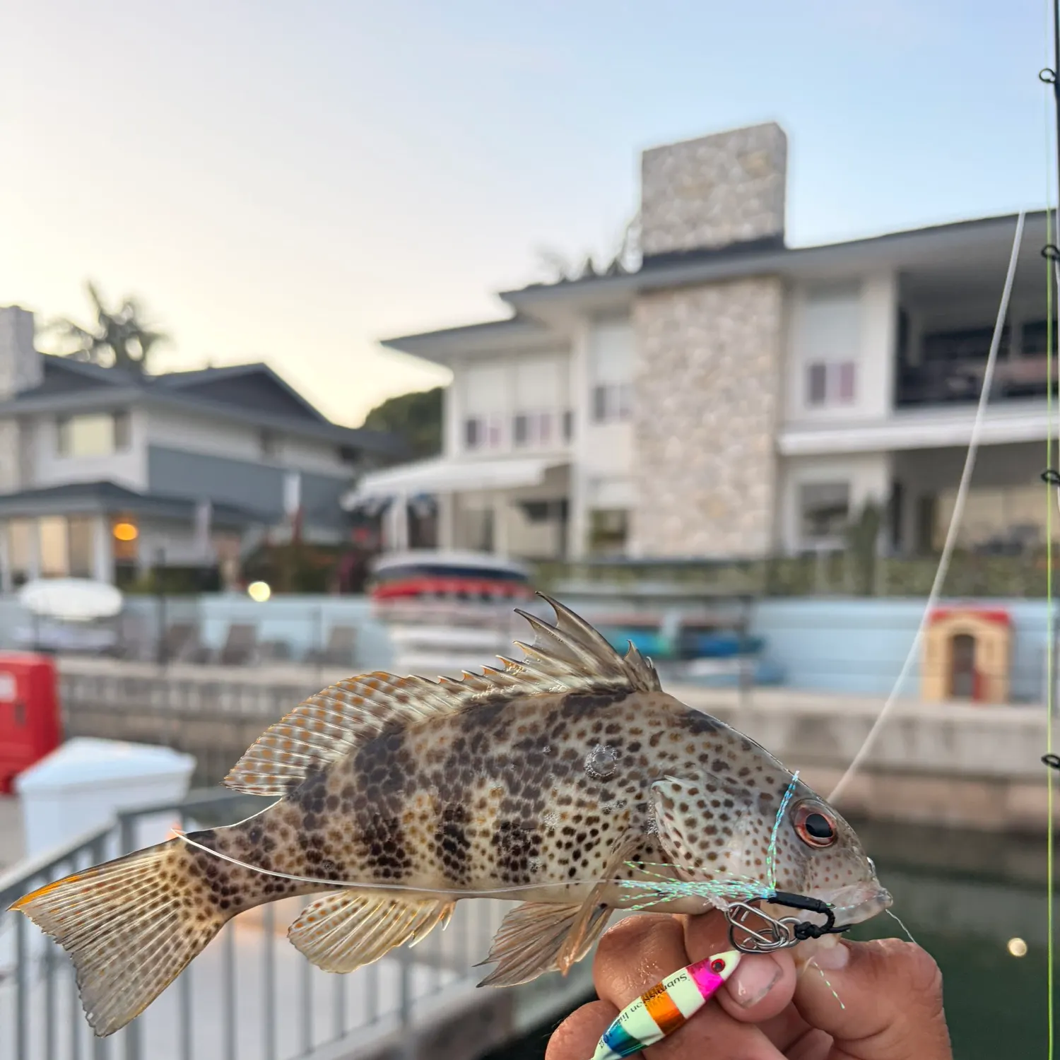 catch