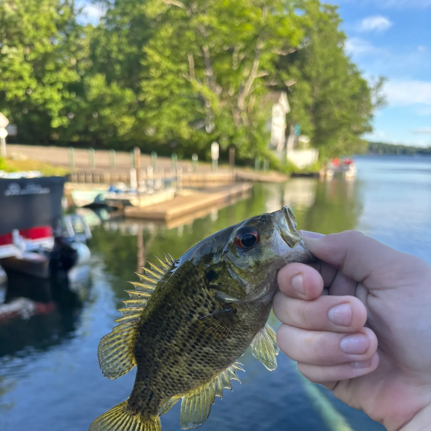 catch