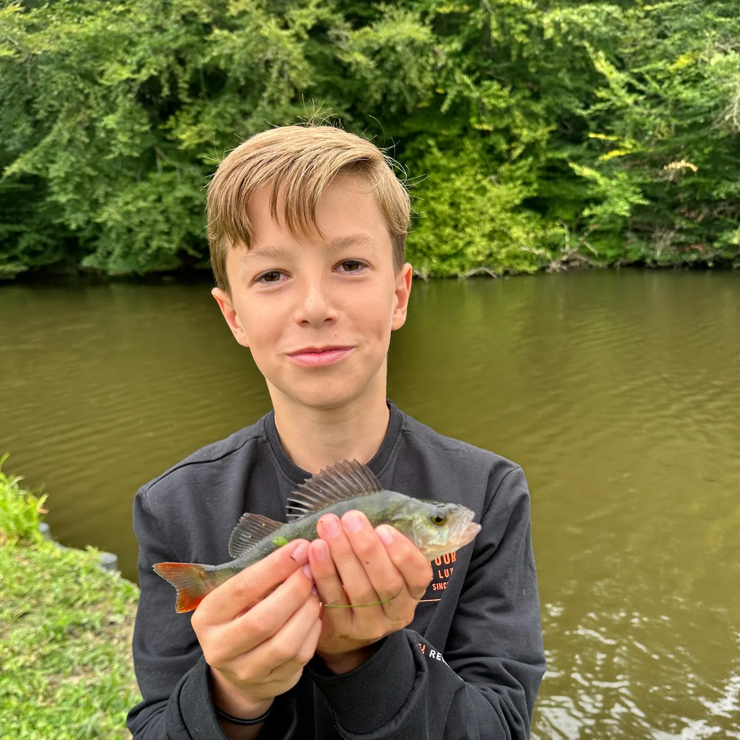 European perch caught on Fishbrain