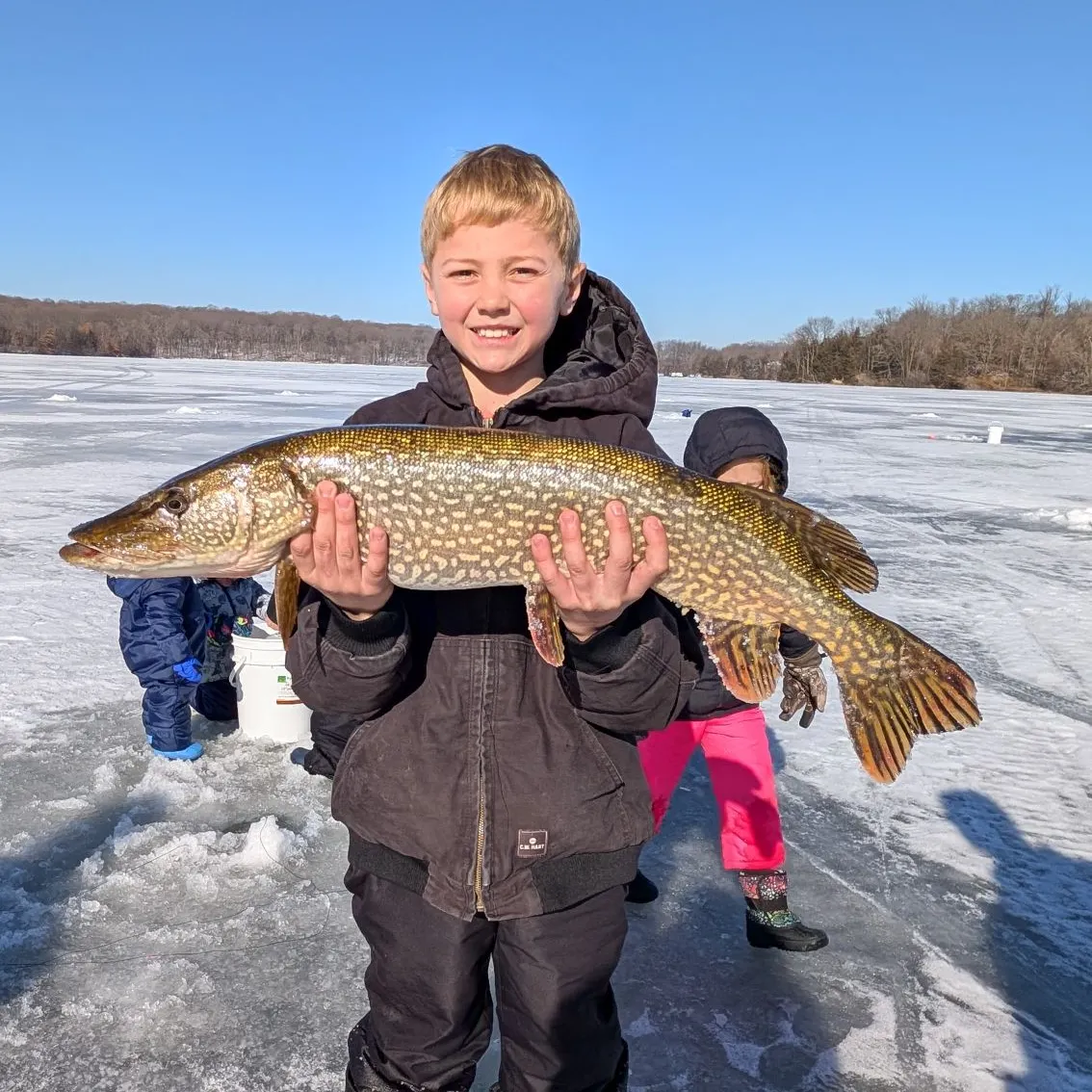 Northern pike caught on Fishbrain